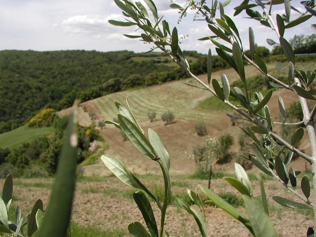 Casa Guaitoli Villa Bagni Di Petriolo