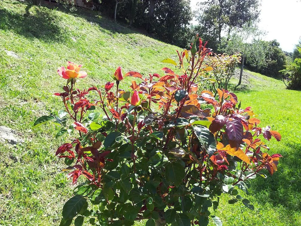 Casa Guaitoli Villa Bagni Di Petriolo